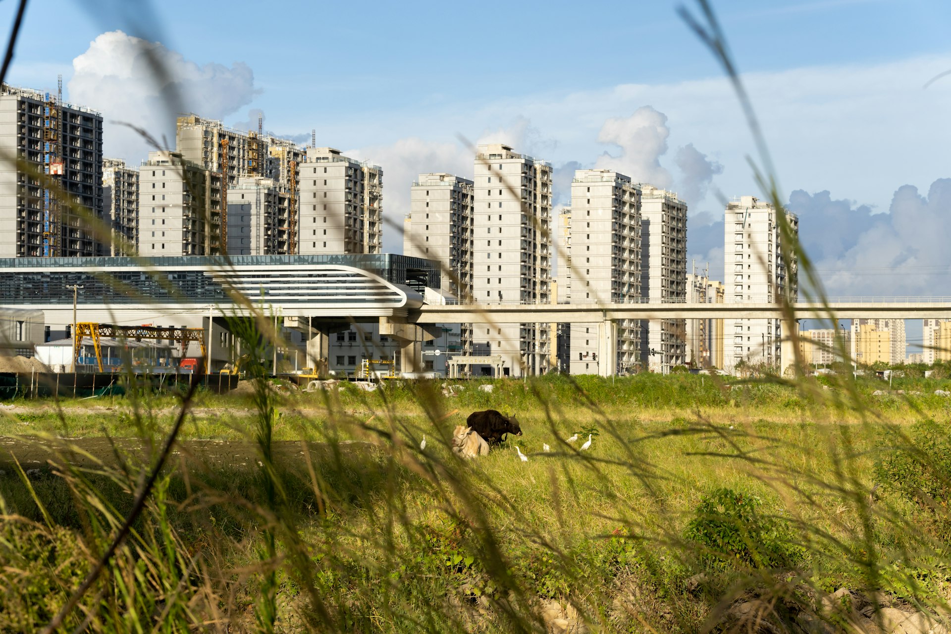 Building Wealth and Security: Actionable Strategies for Climate-Resilient Real Estate Investment