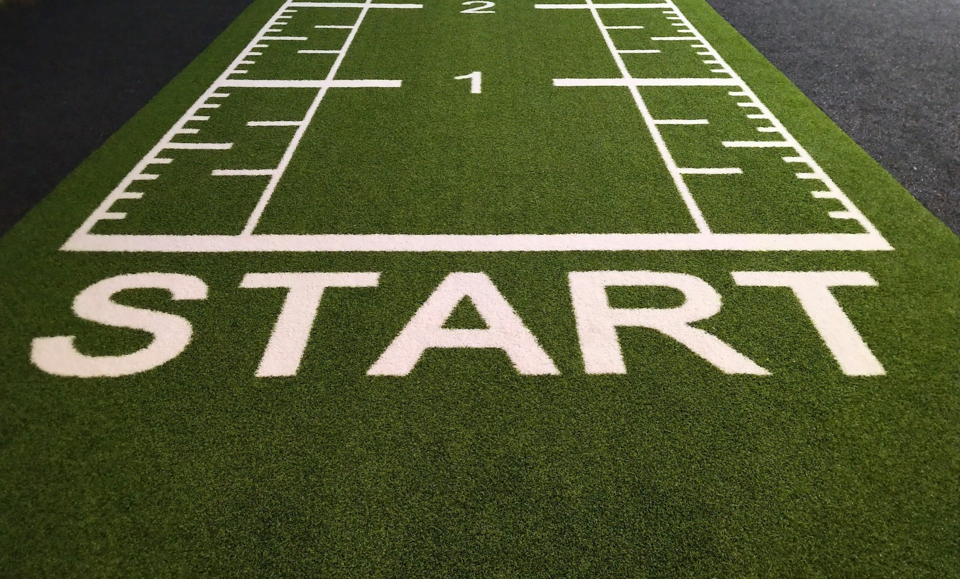 Unlocking Growth: How Business Accelerators Empower Early-Stage Startups