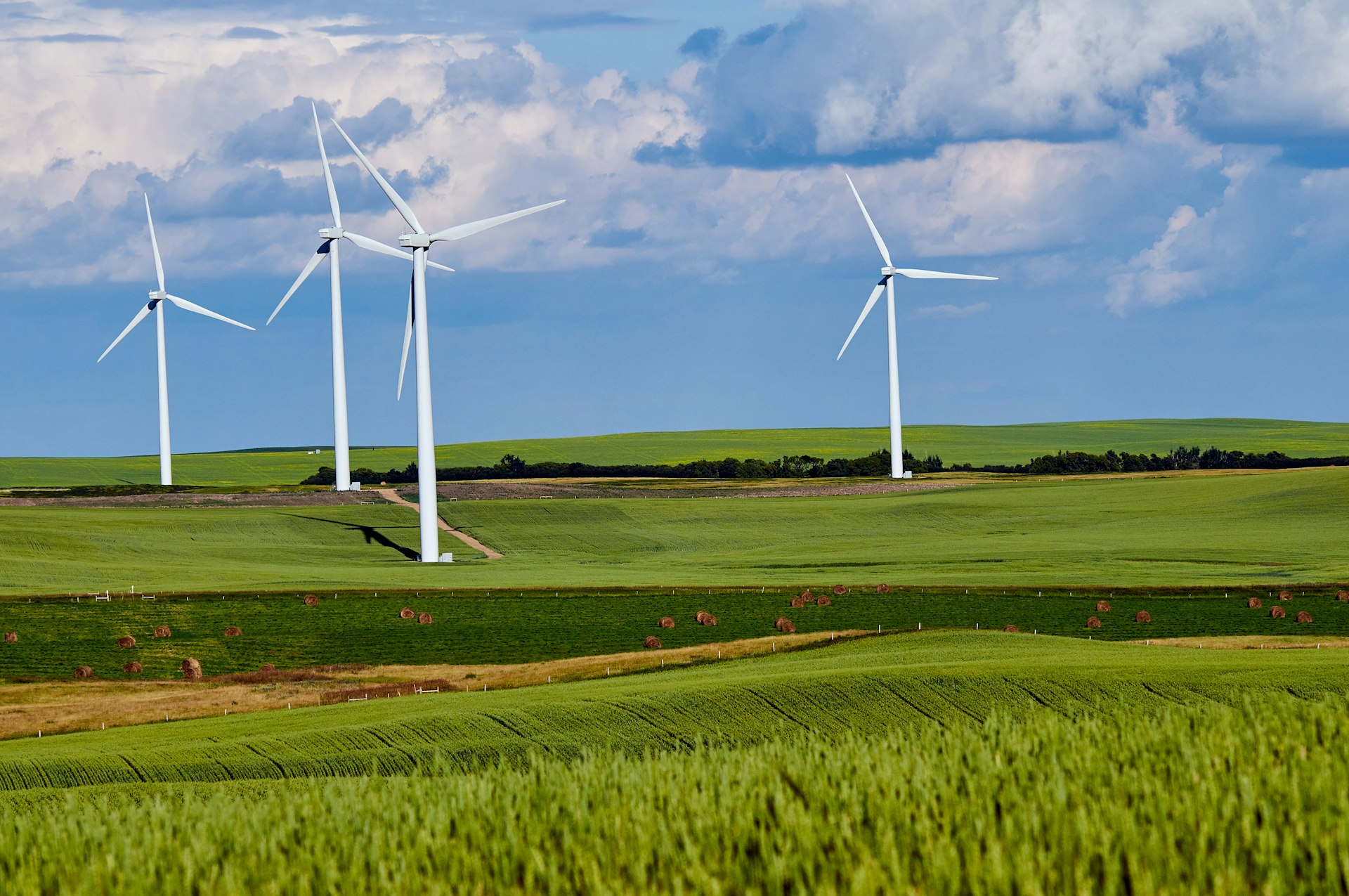 Strategic Pathways for Corporate Green Energy Adoption: Building a Resilient, Decarbonized Future