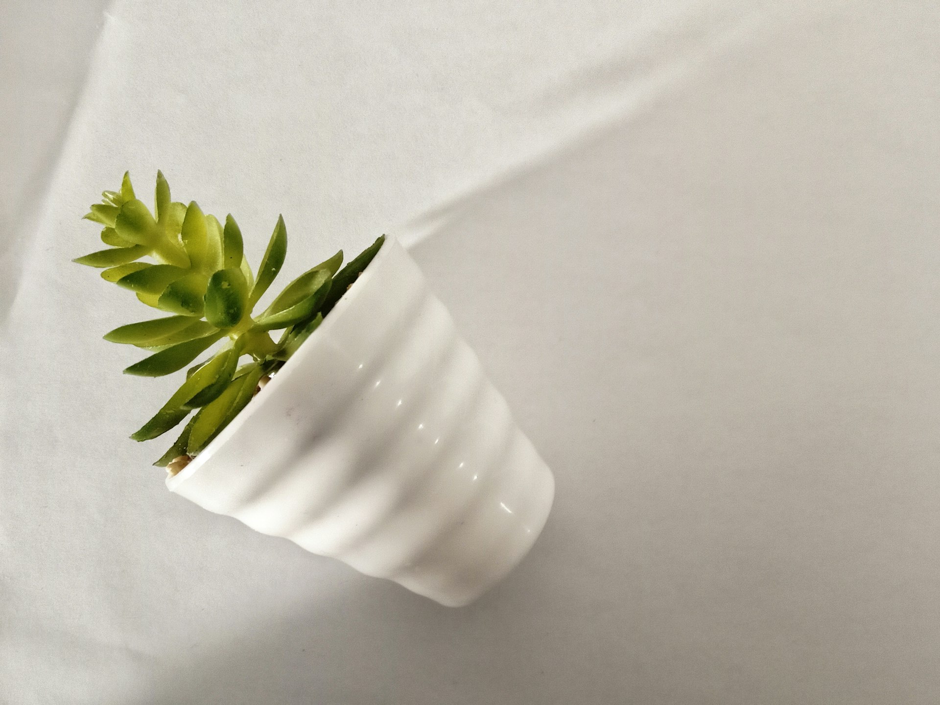 Driving Change: How Sustainable Fintech Innovations Are Transforming Finance