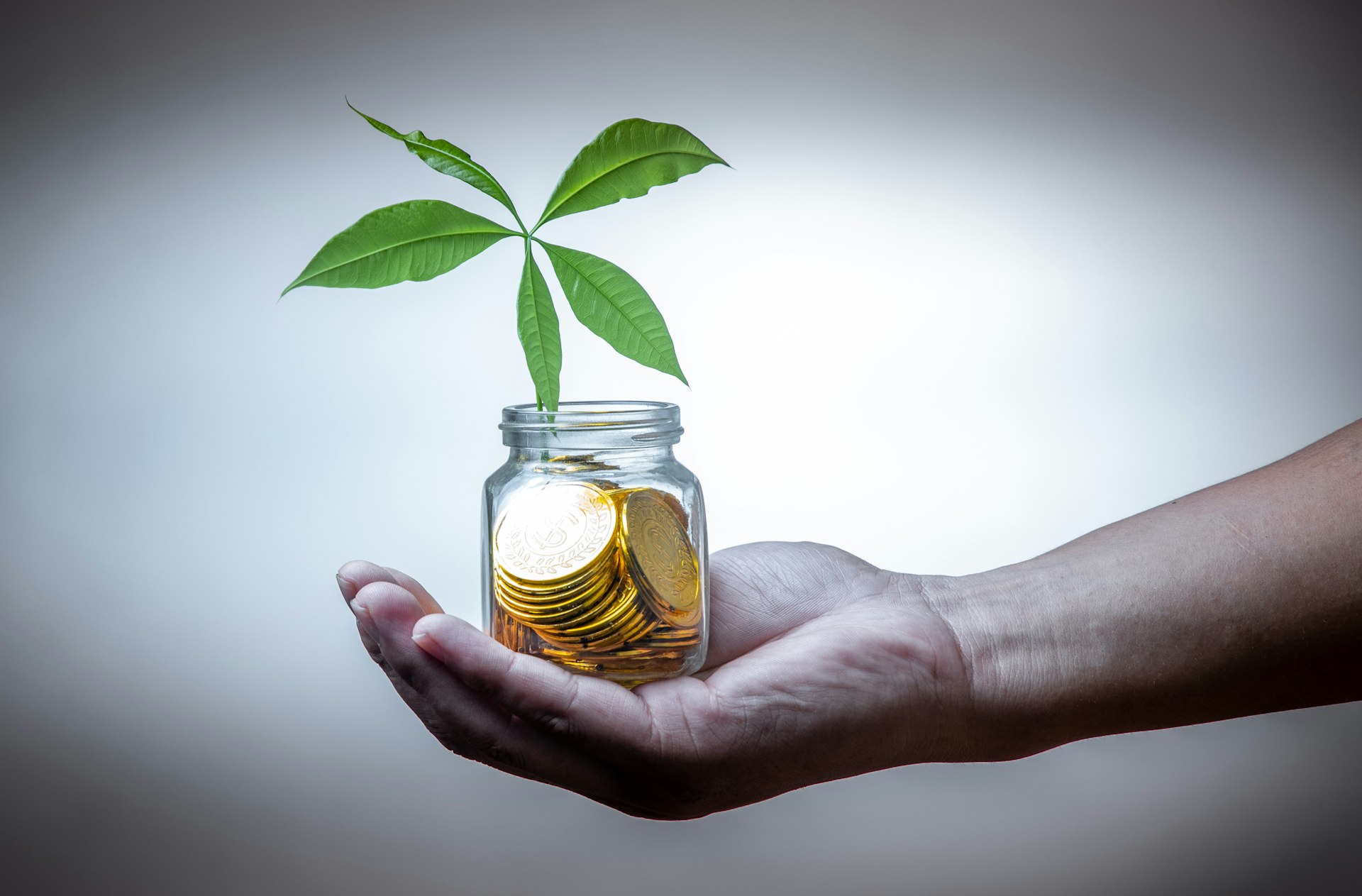 Emerging Trends and Actionable Strategies in Ethical Investing and Social Impact Finance
